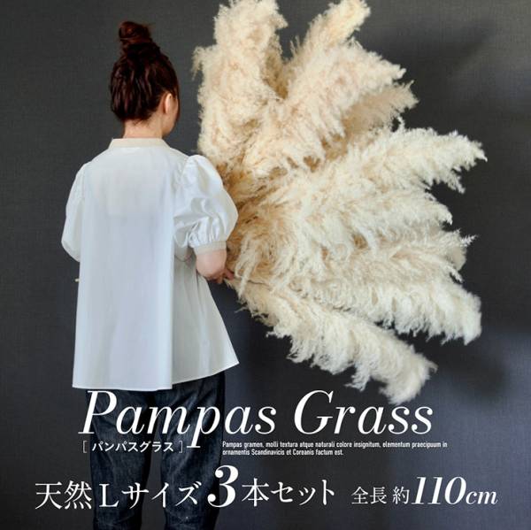 Pampas Grass(パンパスグラス) 110cm 3本セット