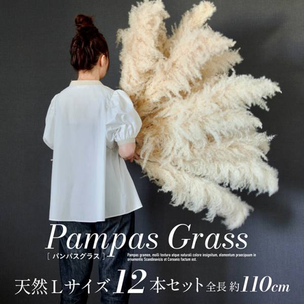 Pampas Grass(パンパスグラス) 110cm 12本セット