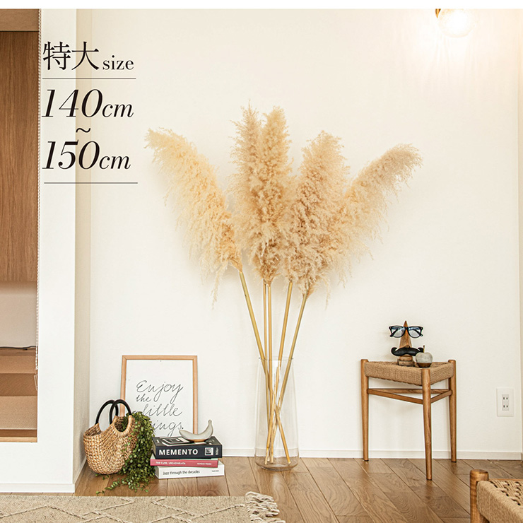 Pampas Grass(パンパスグラス) 110cm 3本セットの通販情報 - 家具通販のわくわくランド 本店