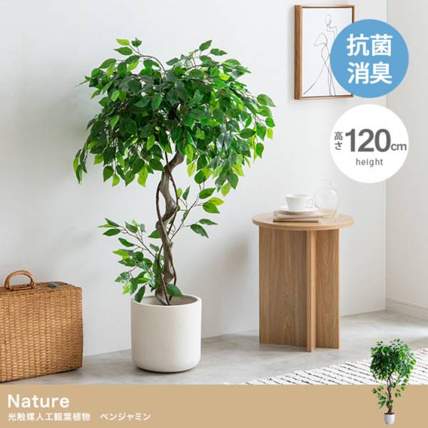 フェイクグリーン 大型 高さ120cm 光触媒 人工観葉植物 ベンジャミン Nature(ナチュレ)