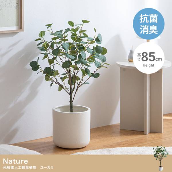 フェイクグリーン 大型 高さ85cm 光触媒 人工観葉植物 ユーカリ Nature(ナチュレ)