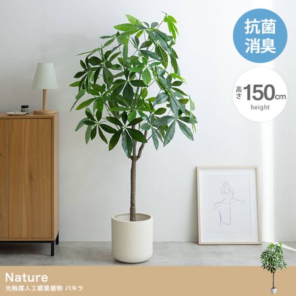 フェイクグリーン 高さ150cm 大型 光触媒 人工観葉植物 パキラ Nature(ナチュレ)