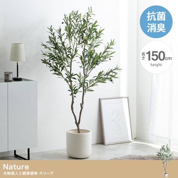 フェイクグリーン 大型 高さ150cm 光触媒 人工観葉植物 オリーブ Nature(ナチュレ)