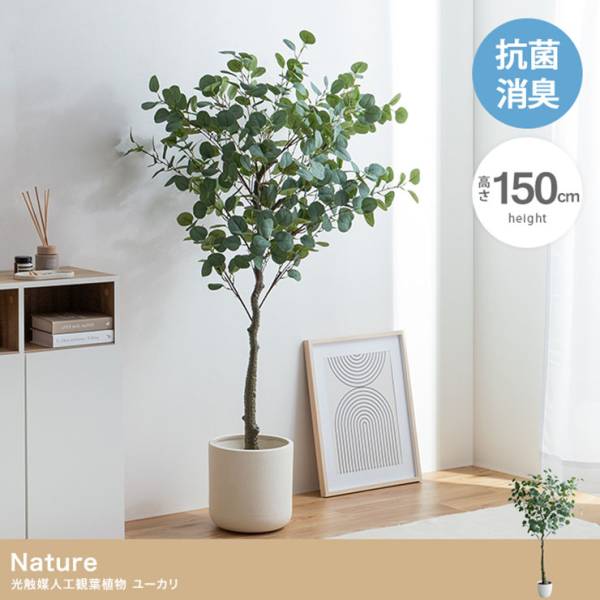 フェイクグリーン 大型 高さ150cm 光触媒 人工観葉植物 ユーカリ Nature(ナチュレ)